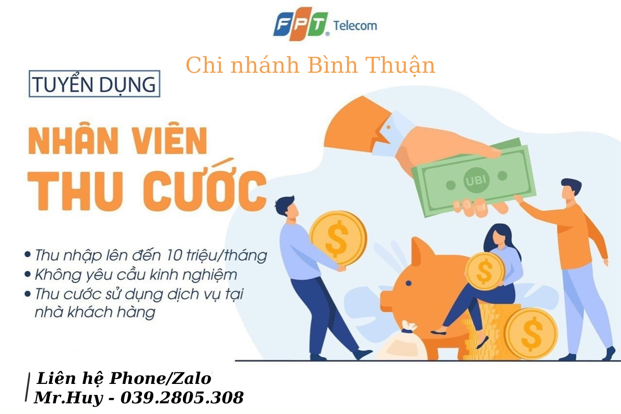 lĩnh vực hoạt động
